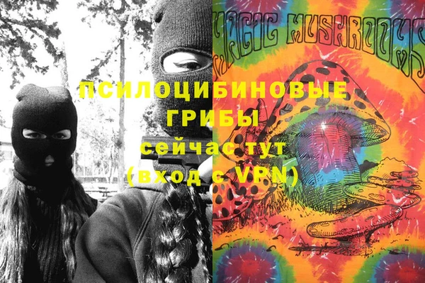 ешки Алексин