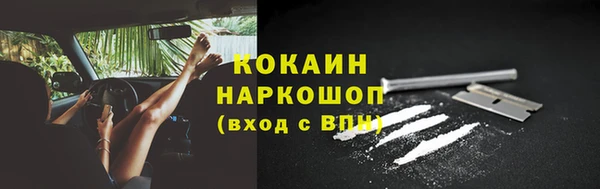 spice Алзамай